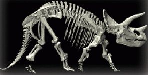 First Digital Dinosaur created from 3D scan data
