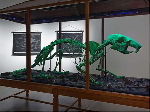 3D Voxeljet print of giant wood rat, installed at LaBria tar pit.